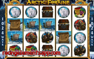 arctic fortune